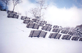 雪崩予防策