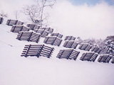 雪崩予防柵